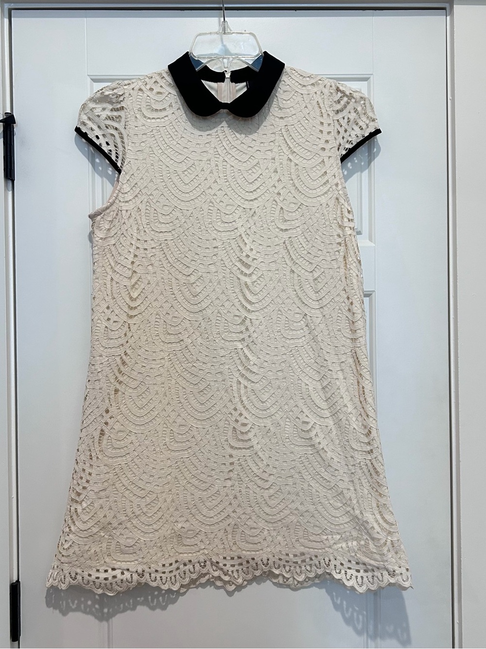 Zara W/B Collection Cream Lace Shift Dress with Black Peter Pan Collar Size L